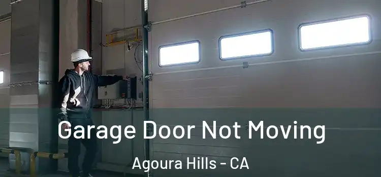  Garage Door Not Moving Agoura Hills - CA