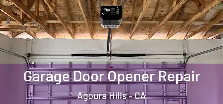  Garage Door Opener Repair Agoura Hills - CA