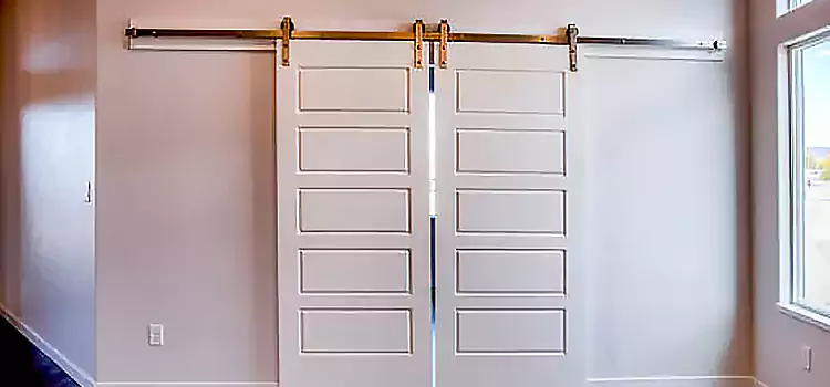 Glass Barn Door with Installation Hardware Kit Agoura Hills