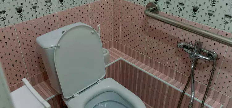 Meeting Diverse Needs With Accessible Restroom Solutions in Agoura Hills, CA