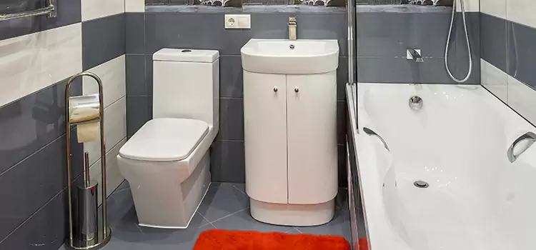 Hansgrohe Shaving Mirror Agoura Hills